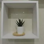 La Del Marques De Cadiz