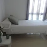 Apartment La Del Marques De Cadiz